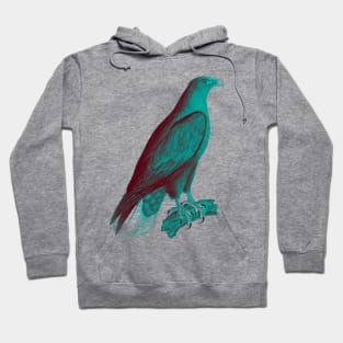 hawk,bald eagle,falcon,golden eagle,birdie,bird,bird of prey,raptor,aquila,vulture,heron,golf game,golf,eaglet,condor,haliaeetus,harpy eagle,beak,eagle putt,bird of jove,accipitridae,score,pigeon,owl,osprey Hoodie